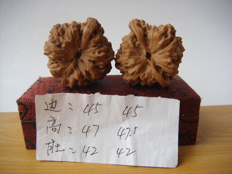 DSC07835.JPG