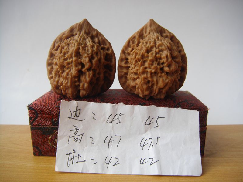DSC07830.JPG