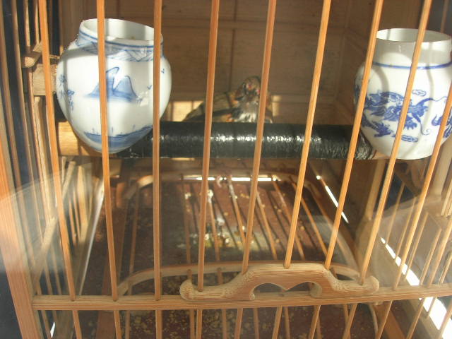 DSCN5798.JPG