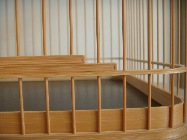 DSCN1010.JPG