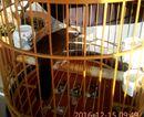 IMG_20161215_094952_副本.jpg