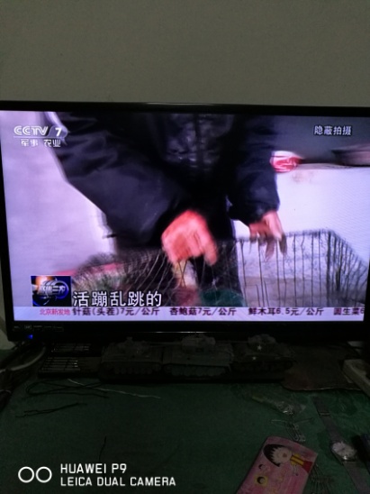 打2.jpg