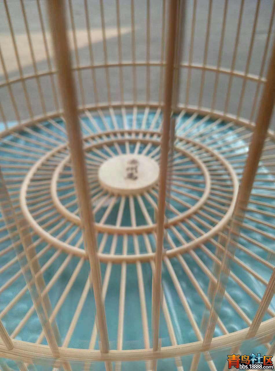 647946776449829026.jpg