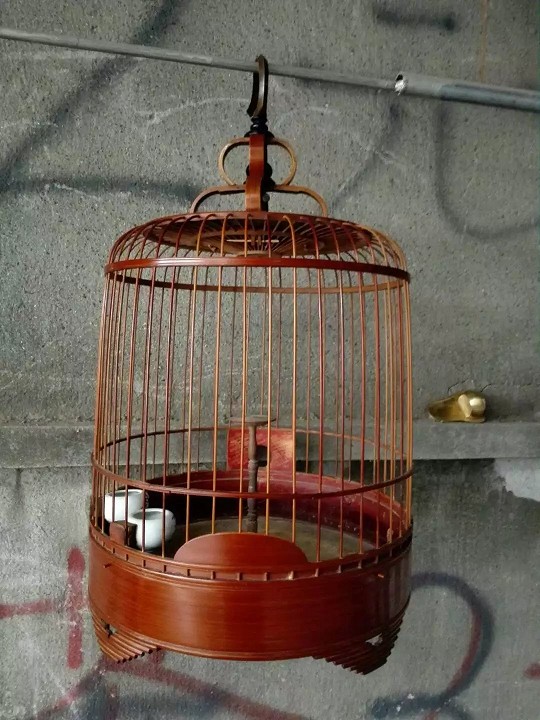 psb (4)_眸目压缩.jpg