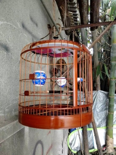 psb (17)_眸目压缩_眸目压缩.jpg
