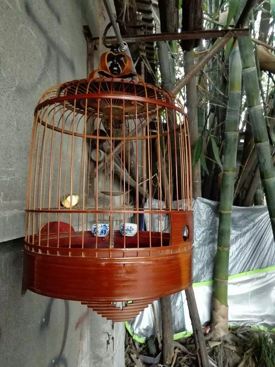 psb (2)_眸目压缩.jpg
