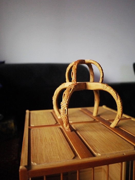 P1190489.jpg