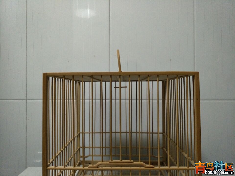 2D4A8EA41214A0ED4FD7F7663F95B4B4.jpg
