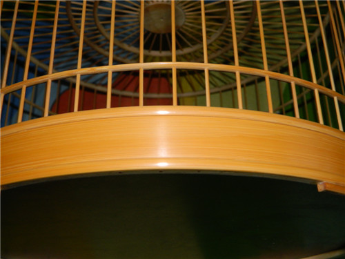 06.jpg