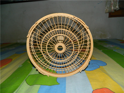 07.jpg
