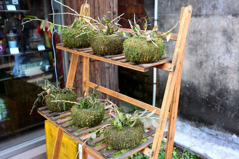 DSC_6333_缩小大小.jpg