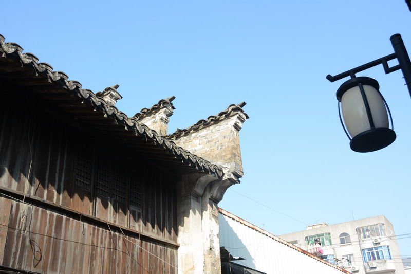 DSC_6193_缩小大小.JPG