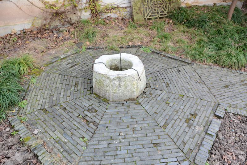 DSC_6322_缩小大小.jpg