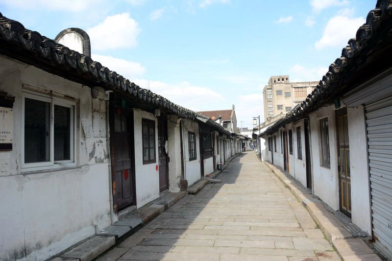 DSC_6310_缩小大小.jpg