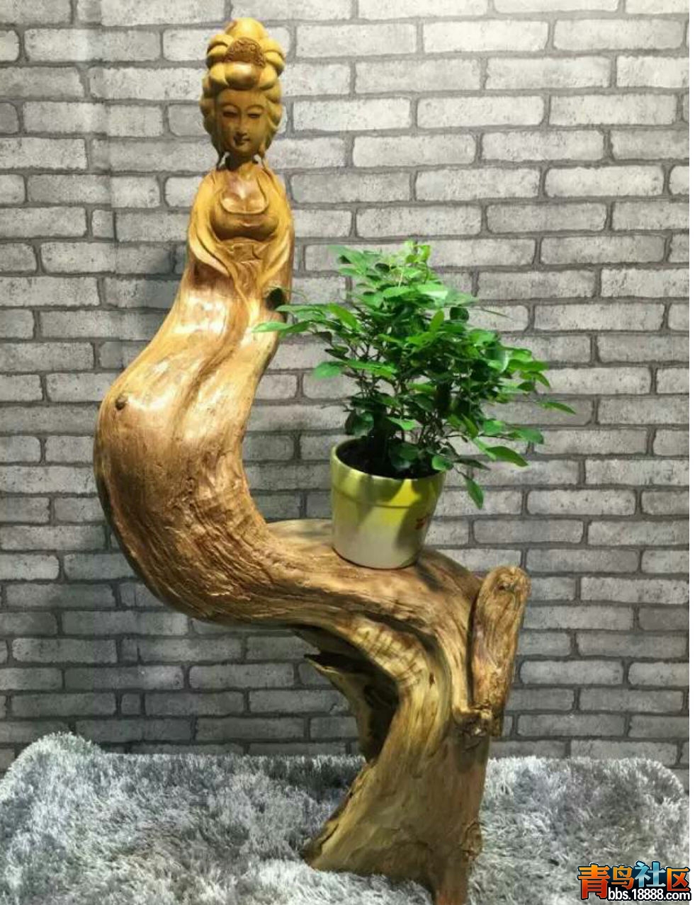 20副本.jpg