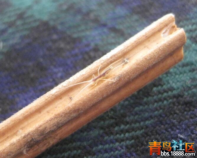 QQ图片20161205165839.jpg