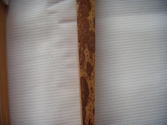 DSCN1072.JPG