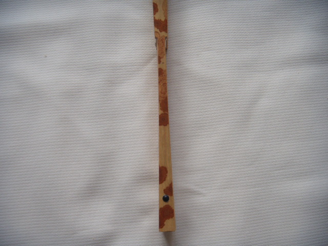 DSCN0936.JPG