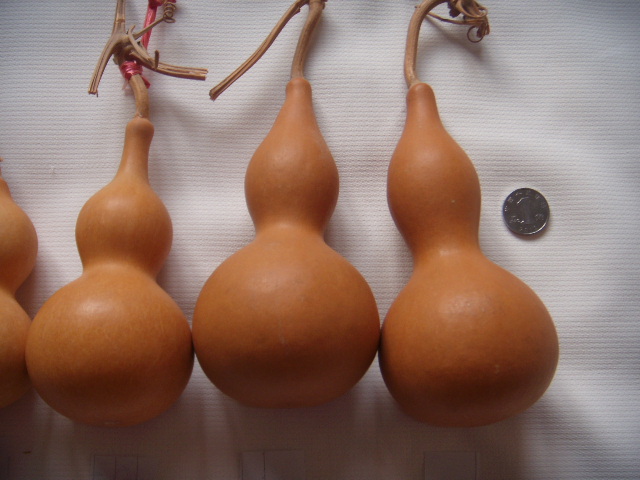 DSCN0741.JPG