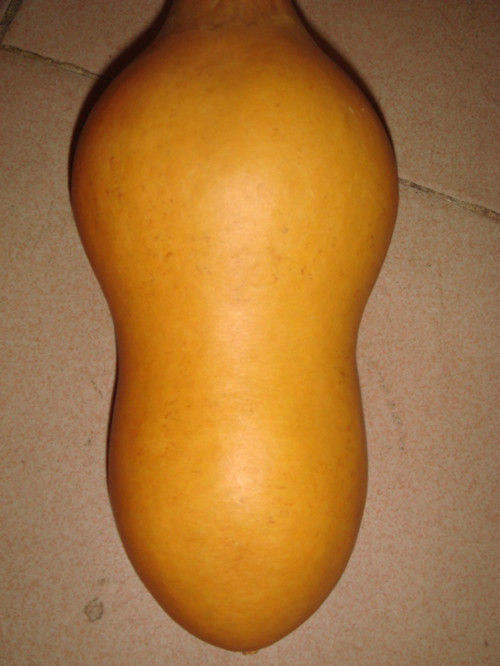 DSC01433_副本.jpg
