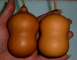 DSCF16034.JPG