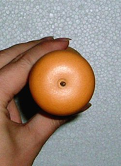 DSCF1636.JPG
