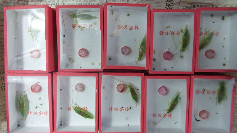 20140102_041438_副本.jpg