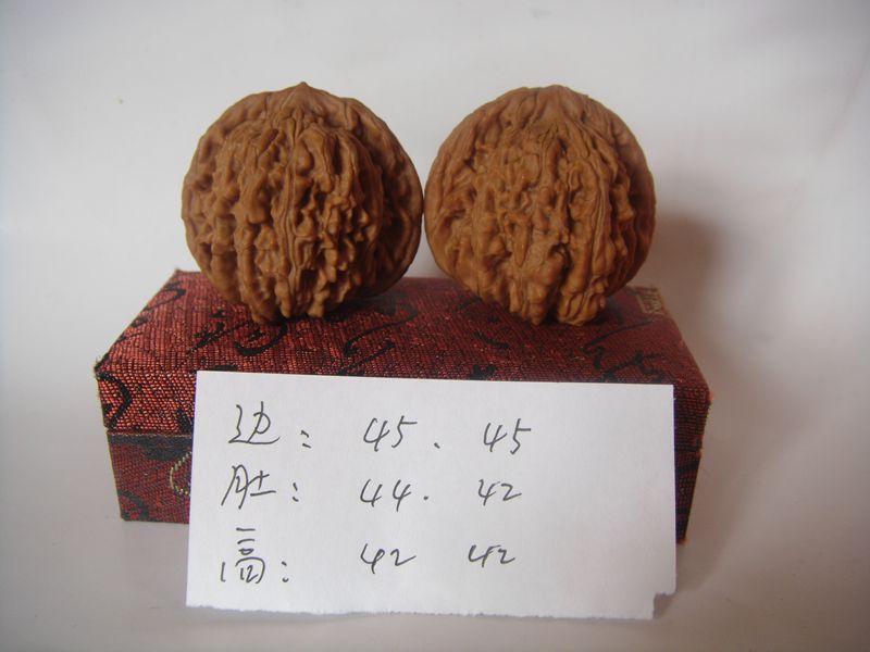 DSC07853.JPG
