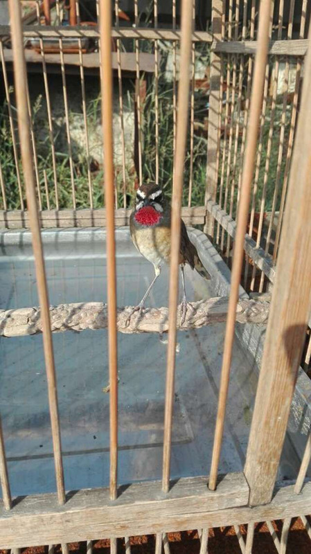 QQ&#22270;&#29255;20170121210312_&#21103;&#26412;.jpg
