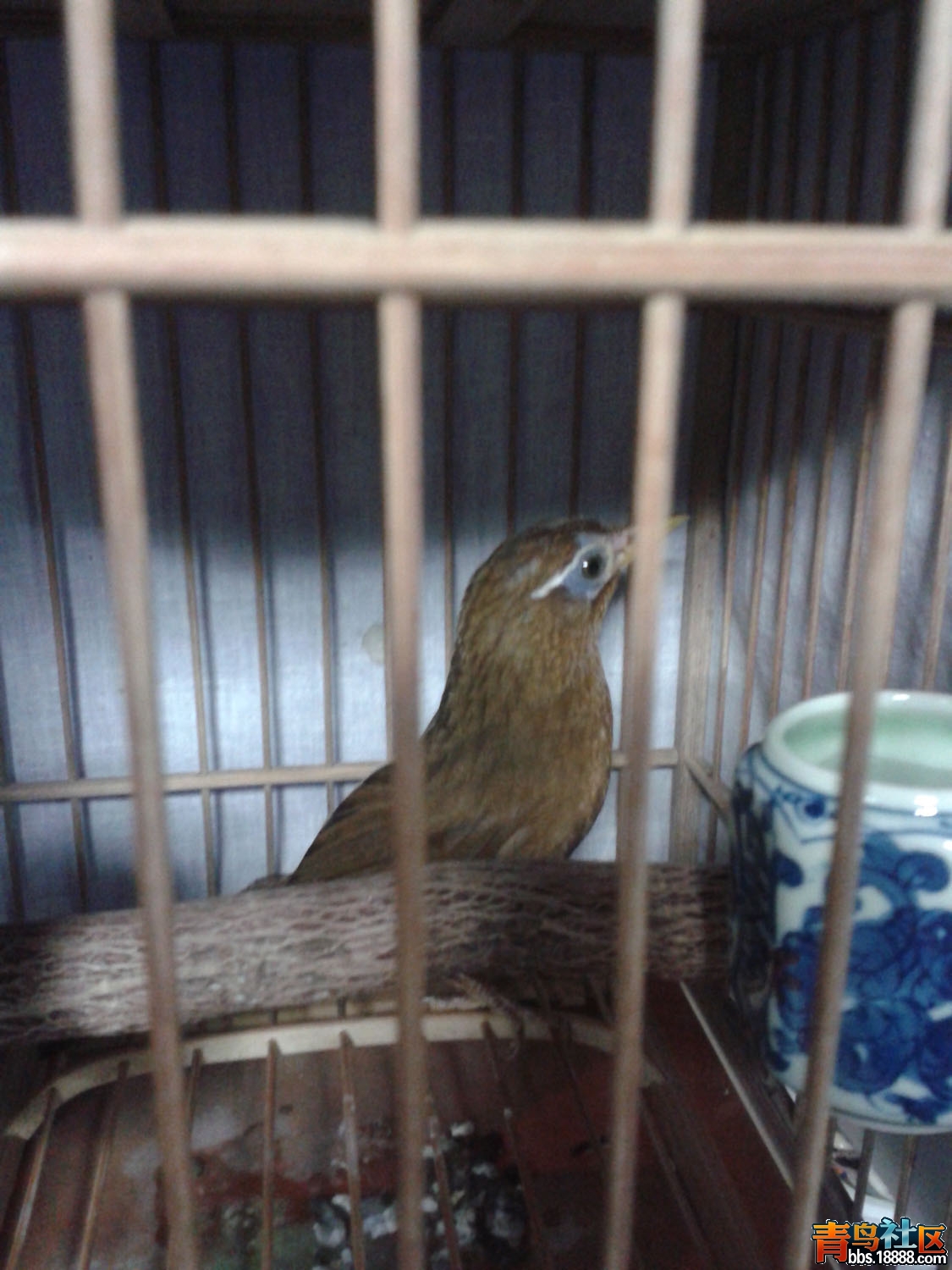 20160731_195043.jpg