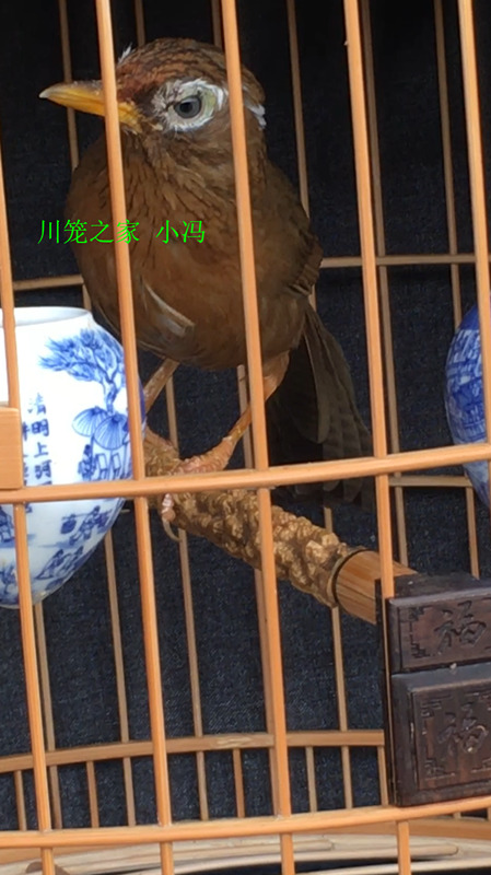 9_副本.jpg