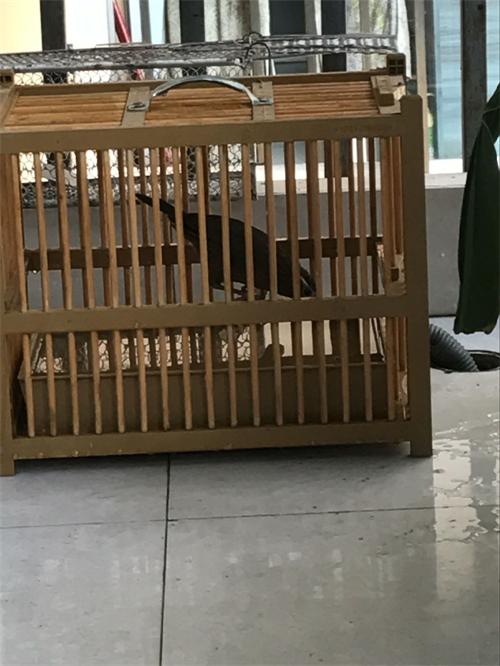 QQ图片20170104075306.jpg