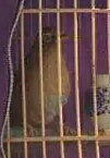 244723516-1-1.jpg