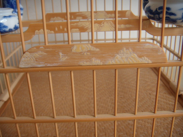DSCN1298.JPG