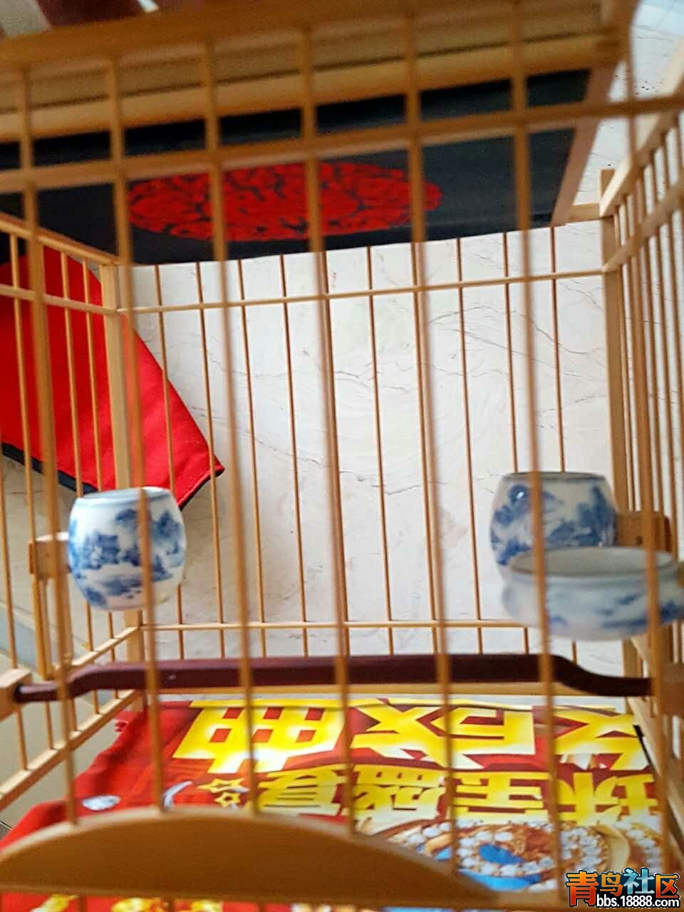 5878cdd01cd76.jpg
