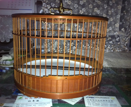 照片 045.jpg