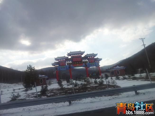 游1.JPG