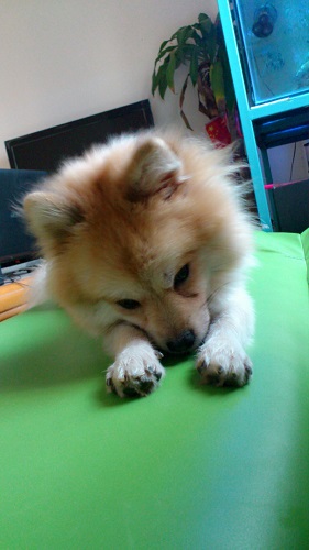 C360_2013-10-26-16-28-28-855.jpg