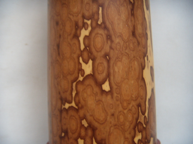 DSCN1587.JPG