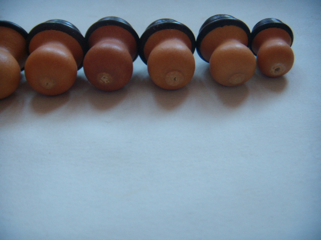 DSCN1534.JPG