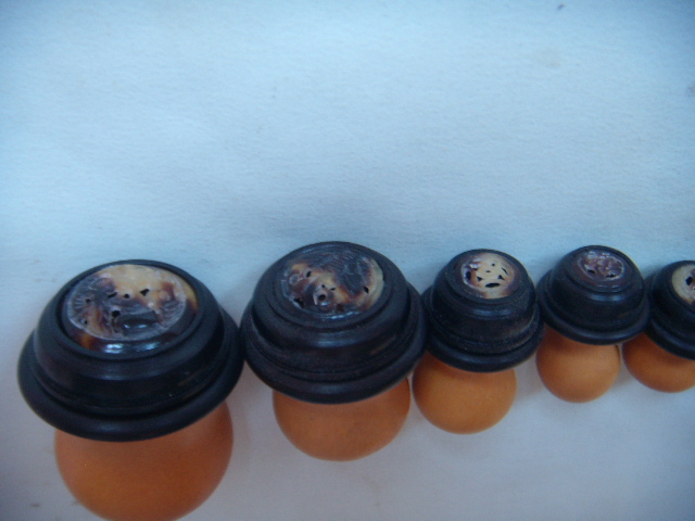 DSCN1531.JPG