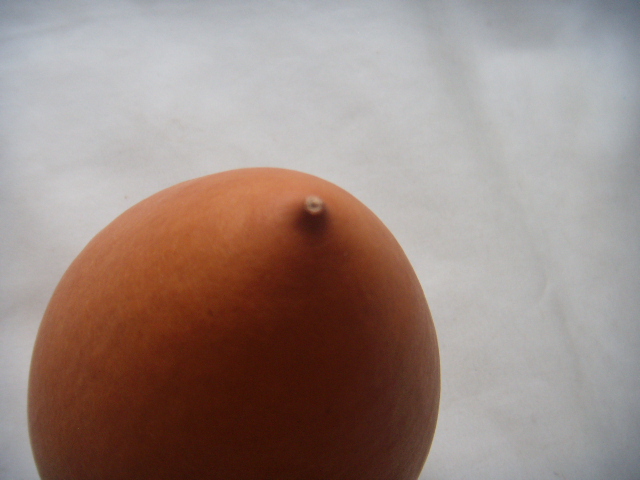 DSCN1253.JPG