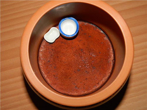 06.jpg