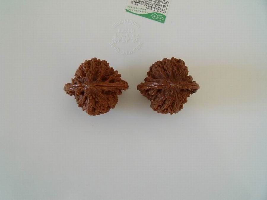 调整大小 DSCF3790.JPG