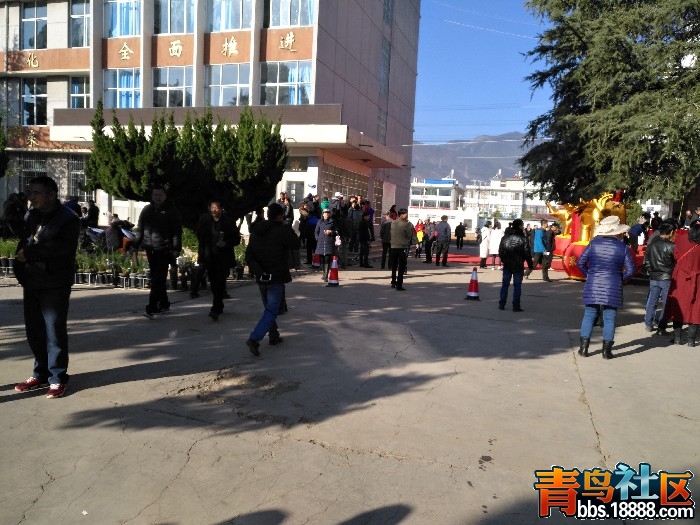BigBull_IMG_20170201_100518.jpg
