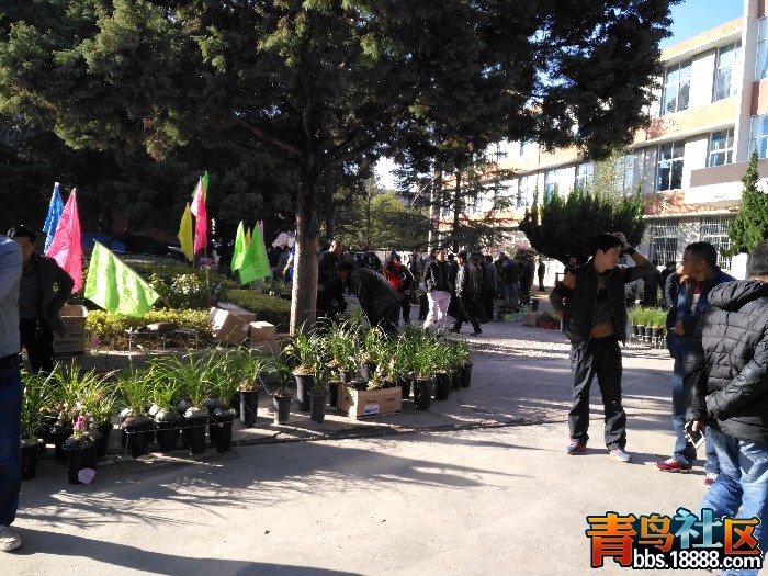 BigBull_IMG_20170201_100516.jpg