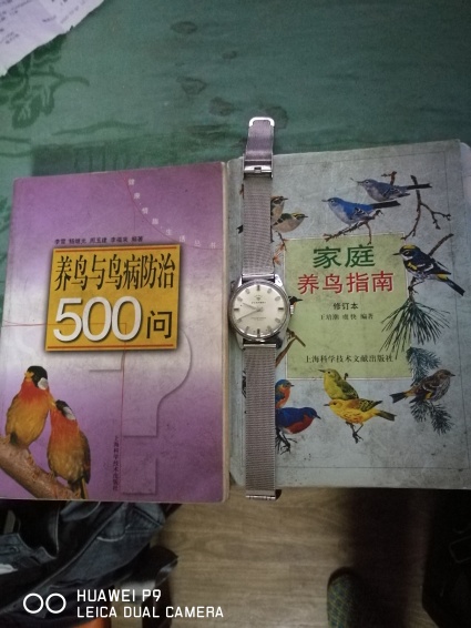 养鸟书.jpg
