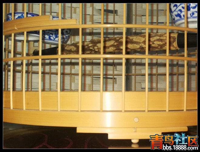 照片 003.jpg
