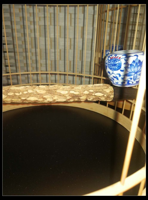 照片 001.jpg