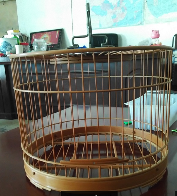 QQ图片20170213182112.jpg
